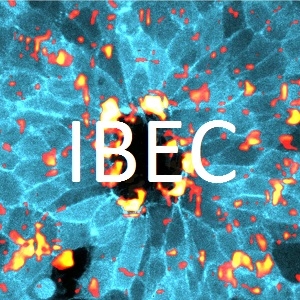 Institute for Bioengineering of Catalonia